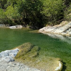 WhatsApp Image 2025-11-23 at 16.07.58